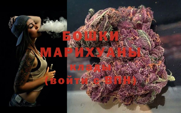 дурь Карпинск
