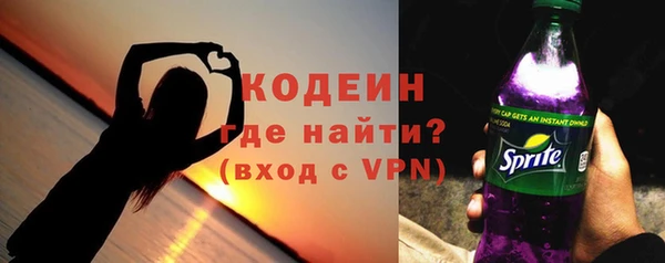 дурь Карпинск