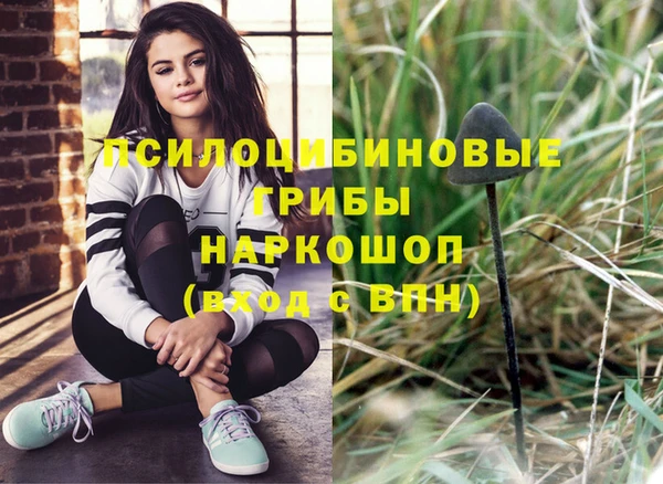 дурь Карпинск