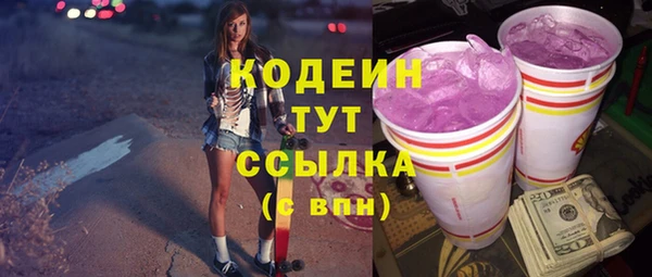 дурь Карпинск