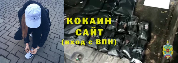 дурь Карпинск